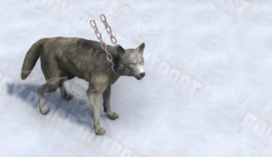 Wolf