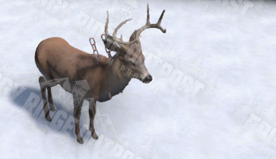 Stag
