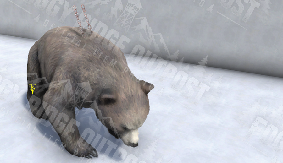Bear