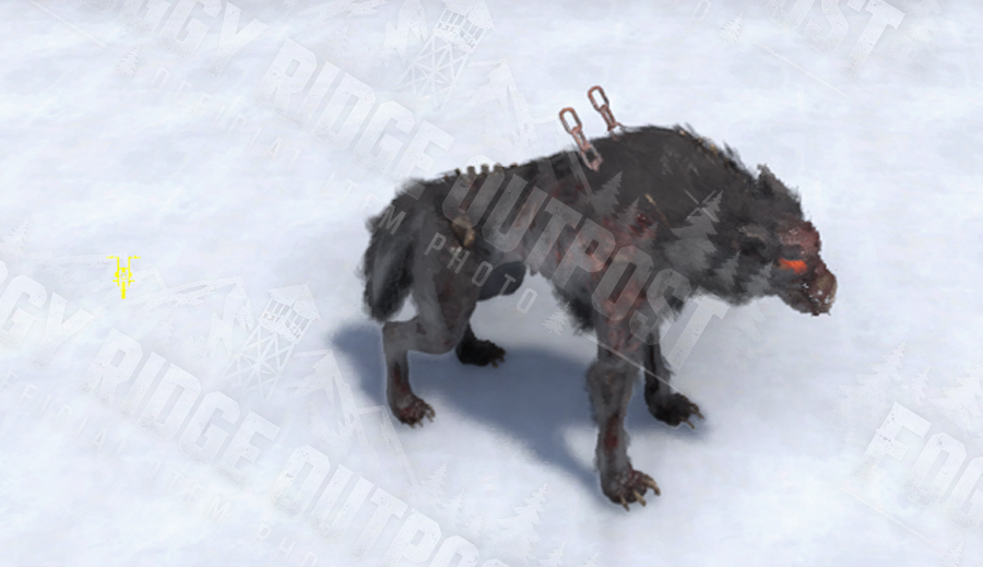 Dire Wolf