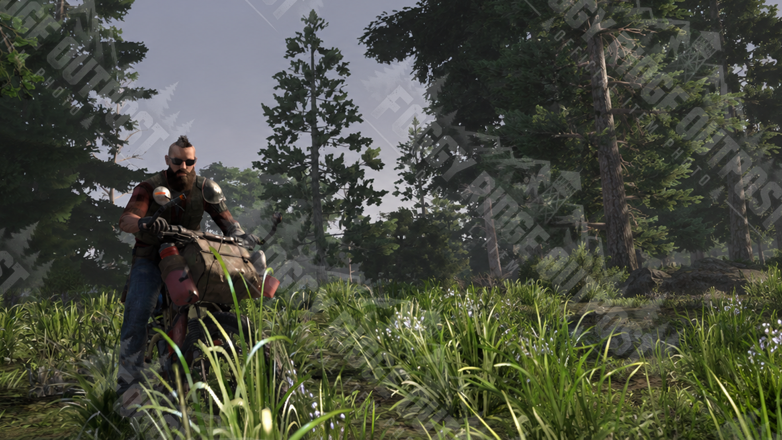 Admin Electric living his BEST forest life and making that hair everybody else’s problem.